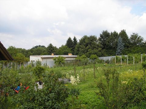 Foto 57